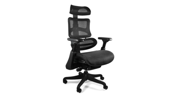 ERGOTHRONE fotel biurowy - 01-1